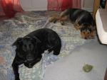 cleo&lyah